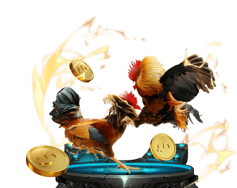 Đá gà trực tuyến One88 với trận đấu kịch tính